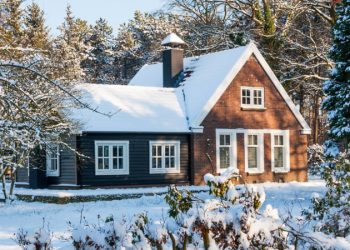 Адвокат рассказала, когда дачника могут оштрафовать за снег