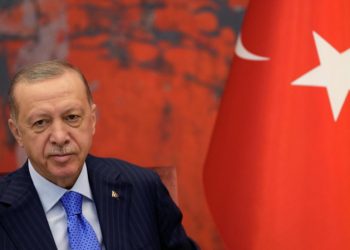 Эрдоган обсудит с главами Азербайджана и Туркменистана «газовый хаб»