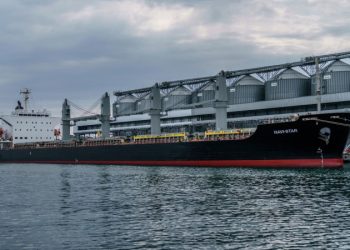 Источник сообщил о работе над гарантиями экспорта российской агропродукции