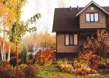 Юрист предупредила о штрафах за вырубку деревьев на дачном участке