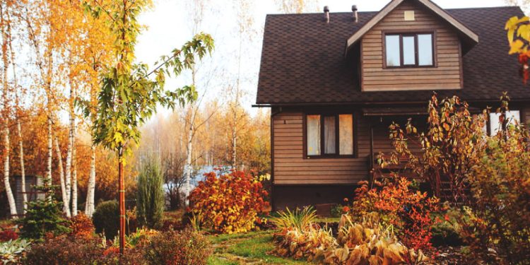 Юрист предупредила о штрафах за вырубку деревьев на дачном участке