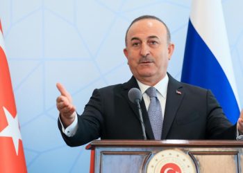 Мир нуждается в российском зерне и удобрениях, заявил глава МИД Турции