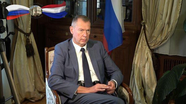 Посол в Гааге прокомментировал схожесть реакции на инцидент в Польше и MH17