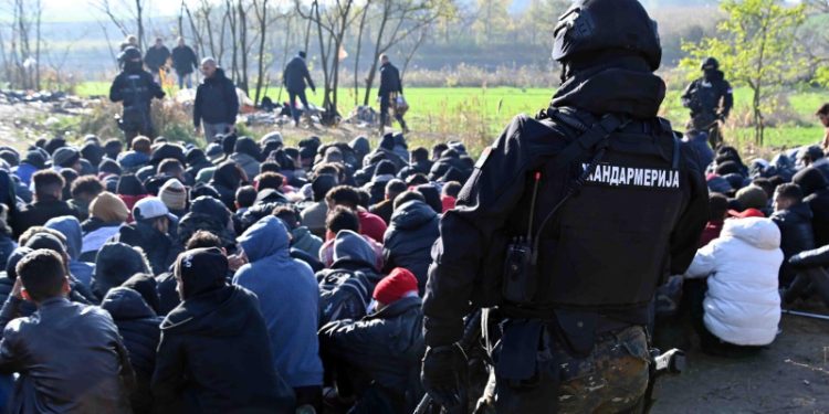 Сербская полиция задержала 600 мигрантов у границы с Венгрией