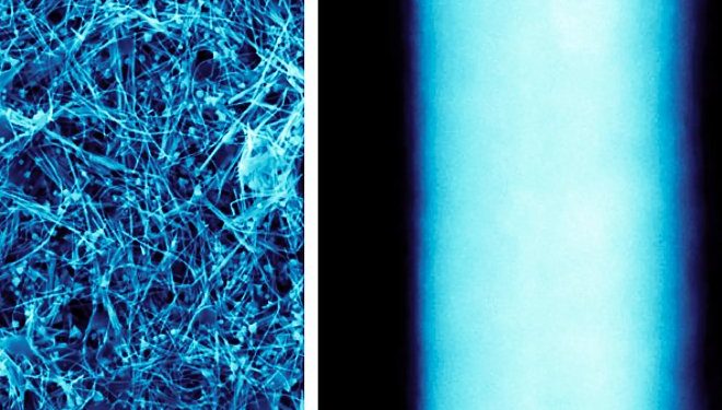 Спрей с наночастицами меди превратит любую поверхность в антимикробную