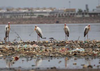 Столица Индонезии готовится к последствиям полного лунного затмения