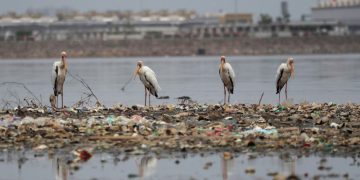 Столица Индонезии готовится к последствиям полного лунного затмения