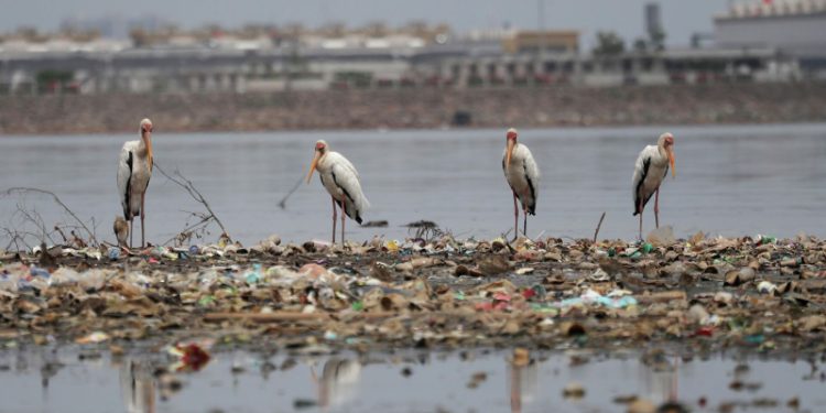 Столица Индонезии готовится к последствиям полного лунного затмения