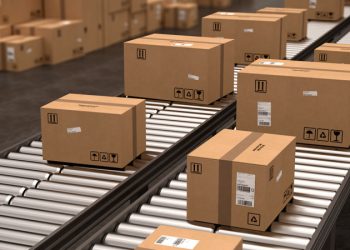 Ученый опроверг риск заражения менингитом через посылки из интернет-магазинов