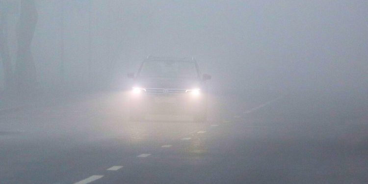 В ГИБДД Москвы призвали водителей быть внимательными на дороге из-за тумана 9 ноября