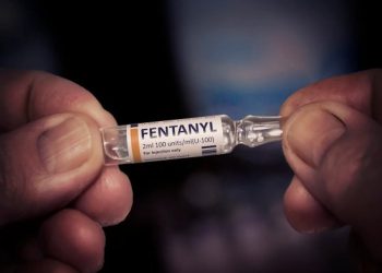 В США готовятся протестировать первую в мире вакцину против фентанила