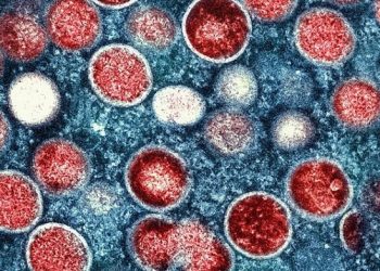 ВОЗ объявила вспышку обезьяньей оспы чрезвычайной ситуацией мирового значения