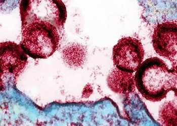 Врачи сообщили о четвертом случае излечения от ВИЧ