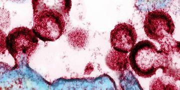 Врачи сообщили о четвертом случае излечения от ВИЧ