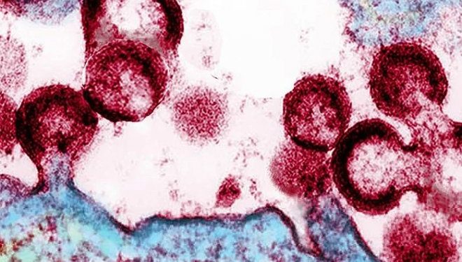 Врачи сообщили о четвертом случае излечения от ВИЧ