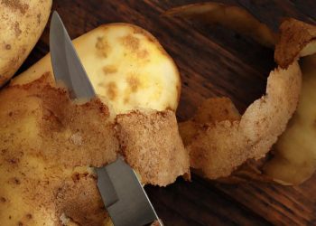 Железистая пятнистость картофеля: что за болезнь и как ее предотвратить