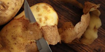 Железистая пятнистость картофеля: что за болезнь и как ее предотвратить