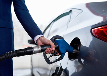 Итальянский министр не согласен с полным запретом машин с ДВС в 2035 году