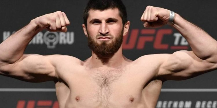 Анкалаев и Блахович не смогли разыграть пояс чемпиона UFC