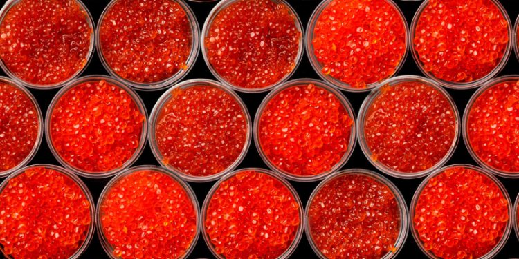 Эксперт объяснила, как выбрать и хранить икру к Новому году