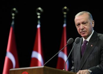 Эрдоган вновь подтвердил намерение Турции стать центром для энергопоставок