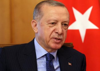 Эрдоган заявил, что просил у Путина поддержки по защите границы с Сирией