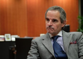 Глава МАГАТЭ рассказал о встрече с премьером Украины