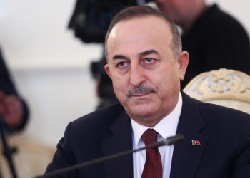 МИД Турции надеется на прояснение ситуации на Украине до весны