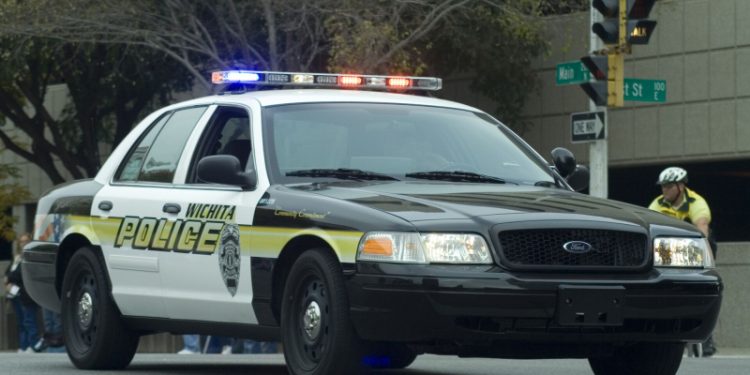 Раскрыта загадка найденных 31 год назад «таинственных останков»