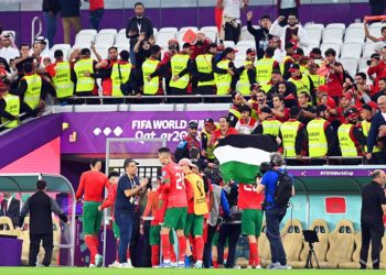 Шалимов заявил, что у сборной Марокко нет шансов на победу в матче с Францией