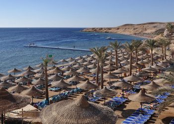 СМИ: более 800 застрявших в Египте российских туристов вернулись в РФ