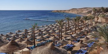 СМИ: более 800 застрявших в Египте российских туристов вернулись в РФ