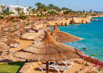 В Египте запретили курить кальян в 1 км от школ и мечетей