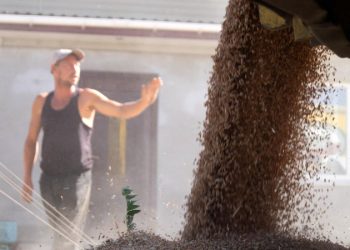 В МККК рассказали о ситуации с поставками зерна в Африку