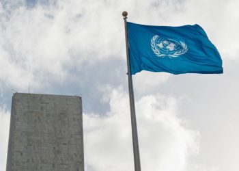 В ООН выступили за установление мира на Украине