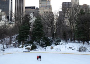 Власти Нью-Йорка разместили вакансию с требованием «инстинкта убийцы»