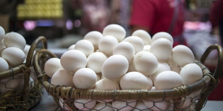 C прилавков магазинов в США исчезли куриные яйца