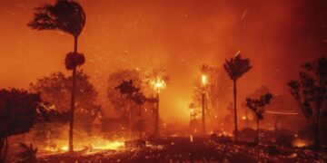 Число погибших в результате пожаров в Лос-Анджелесе выросло до шести