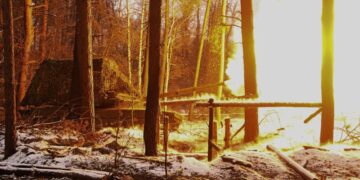 «Другого выхода нет». В Японии пришли к неожиданному выводу о России