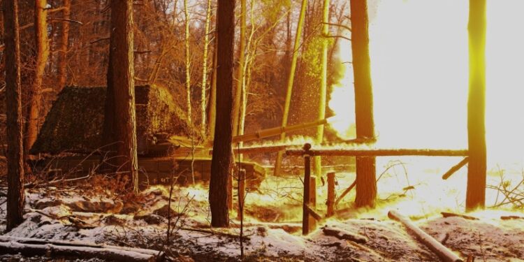 «Другого выхода нет». В Японии пришли к неожиданному выводу о России