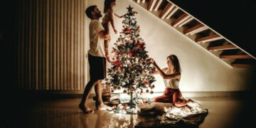 Елка, сосна или пихта: как выбрать новогоднее дерево — советы эксперта