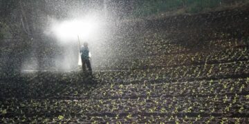 Молдавия препятствует передаче российской гумпомощи фермерам, заявила Гуцул