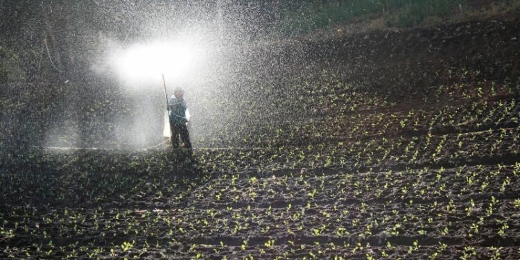 Молдавия препятствует передаче российской гумпомощи фермерам, заявила Гуцул