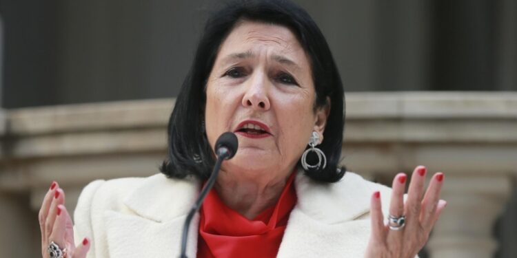 На Западе раскрыли, что Зурабишвили готовит против России