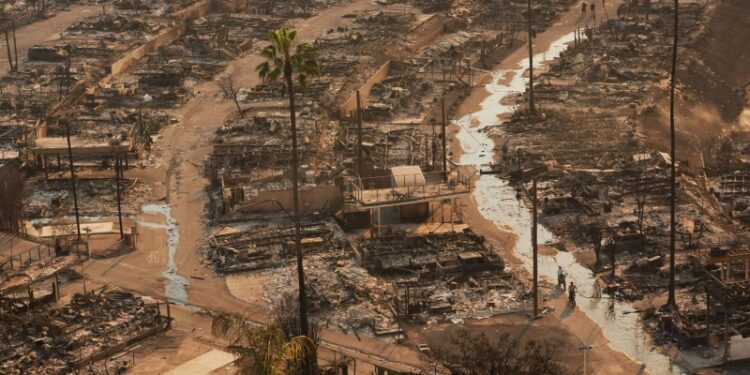 На Западе заметили интересную деталь в пожарах в Калифорнии