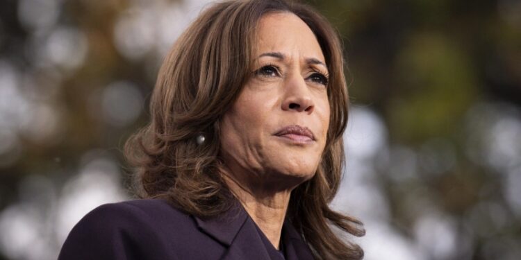 Площадь природного пожара в Лос-Анджелесе достигла 1344 гектаров