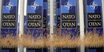 «Приведет к возрождению». В США забили тревогу из-за шагов НАТО