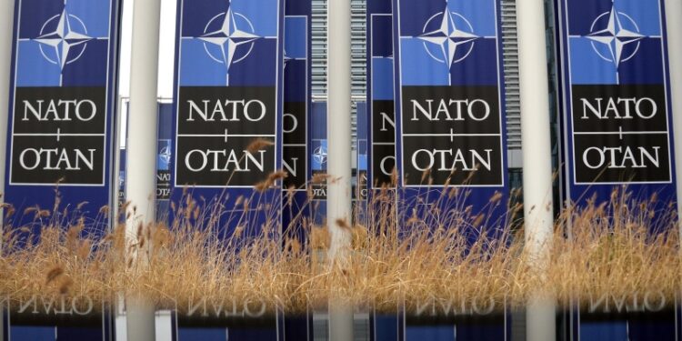 «Приведет к возрождению». В США забили тревогу из-за шагов НАТО