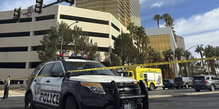 У полиции Лас-Вегаса нет доказательств связи взрыва Cybertruck с ИГ*