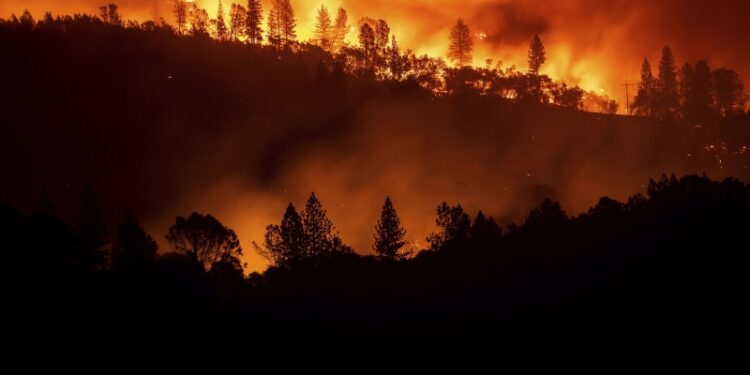 В Калифорнии сократили финансирование пожарной безопасности перед пожарами